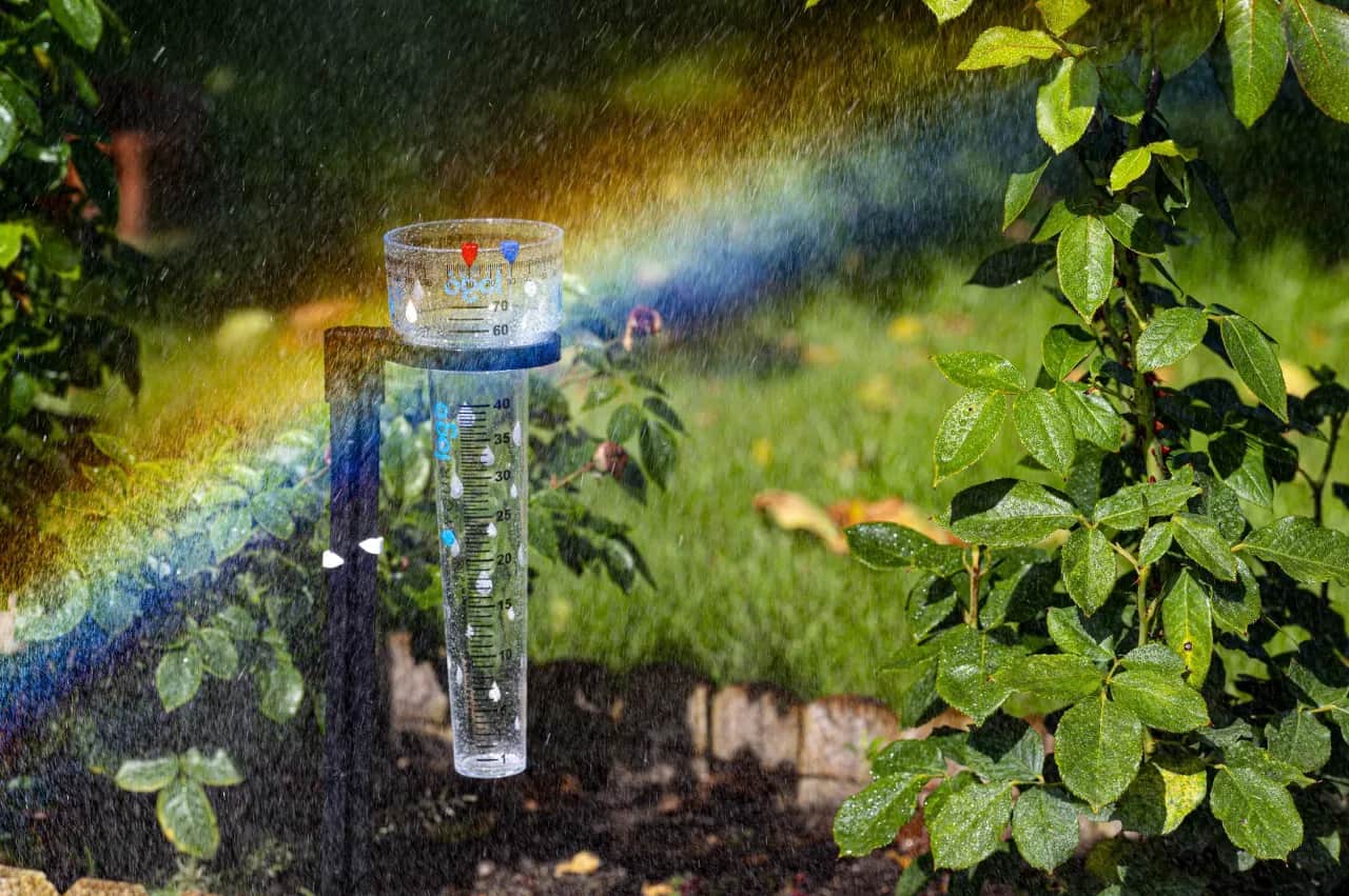 Oblicz, ile deszczówki zbierzesz z dachu! Oszczędzaj i chroń