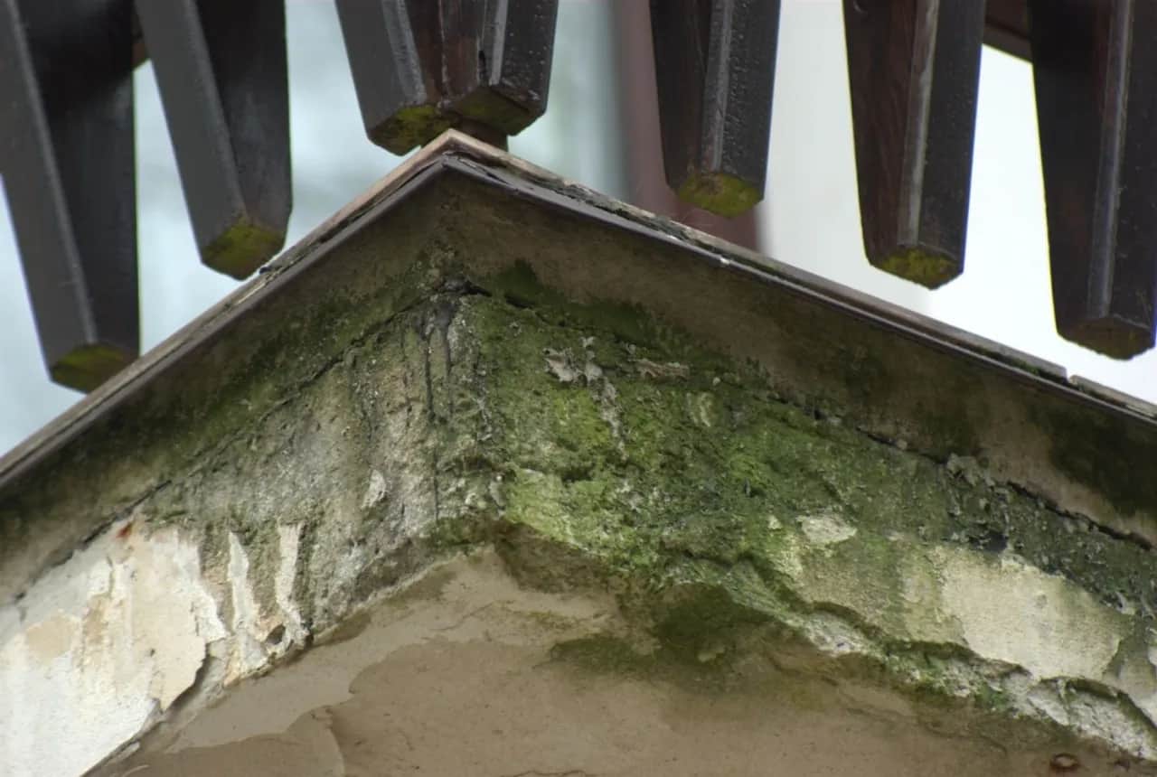 Zielony nalot na elewacji: Usuń go raz na zawsze! Poradnik eksperta